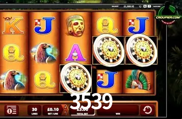 Interface Premium 3539